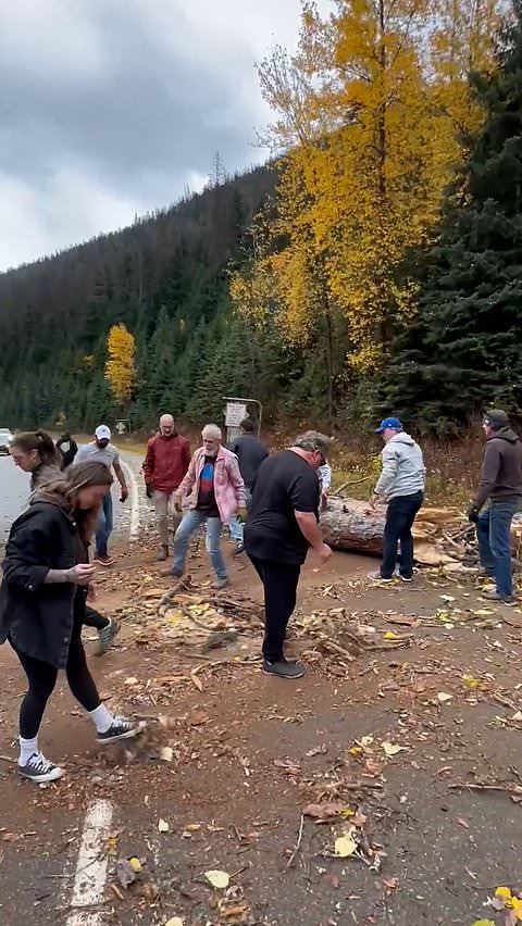 Motorists work together to remove tree blocking road