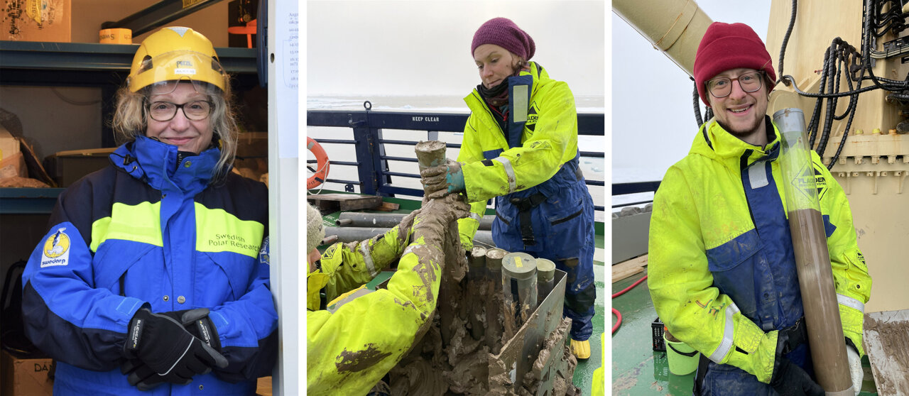 Ancient fish bones reveal how Arctic cod species survived the last ice age