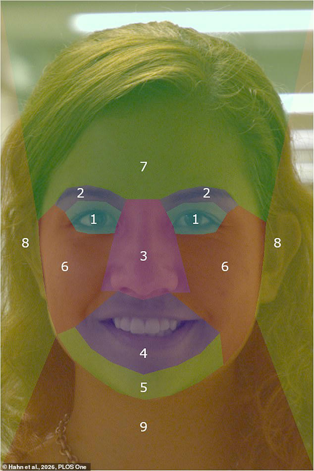 Can you recognise celebrities by their ears? Take the test