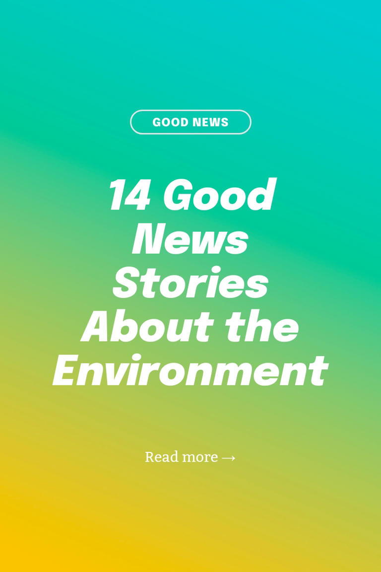 14 good news stories about the environment