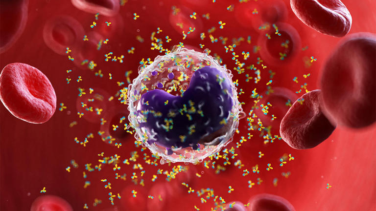 Ianalumab's road to approval for Sjogren's looks bumpier