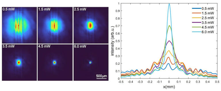Laser-made lattice reveals discrete light solitons in tunable atomic vapor
