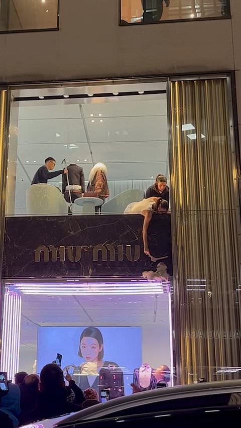 Workers rescue puppy trapped in store window