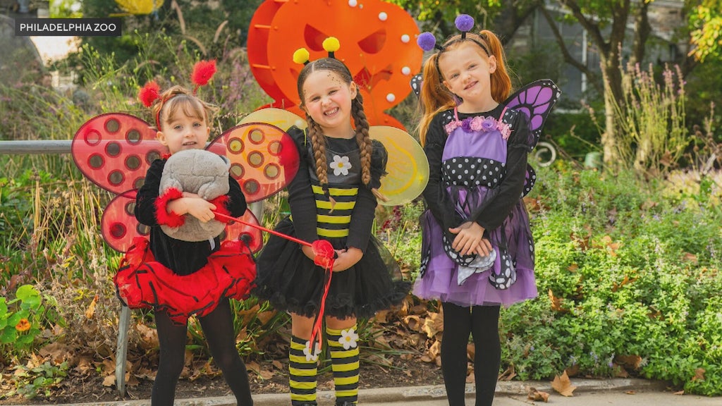 Boo at the Zoo returns to Philadelphia with extended dates, seasonal ...