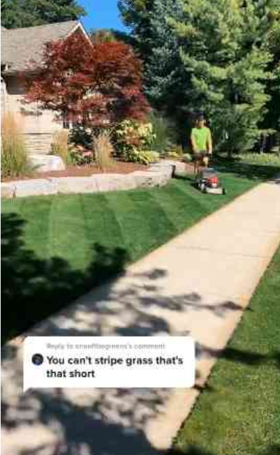 Pro lawn care secrets for a lush green yard