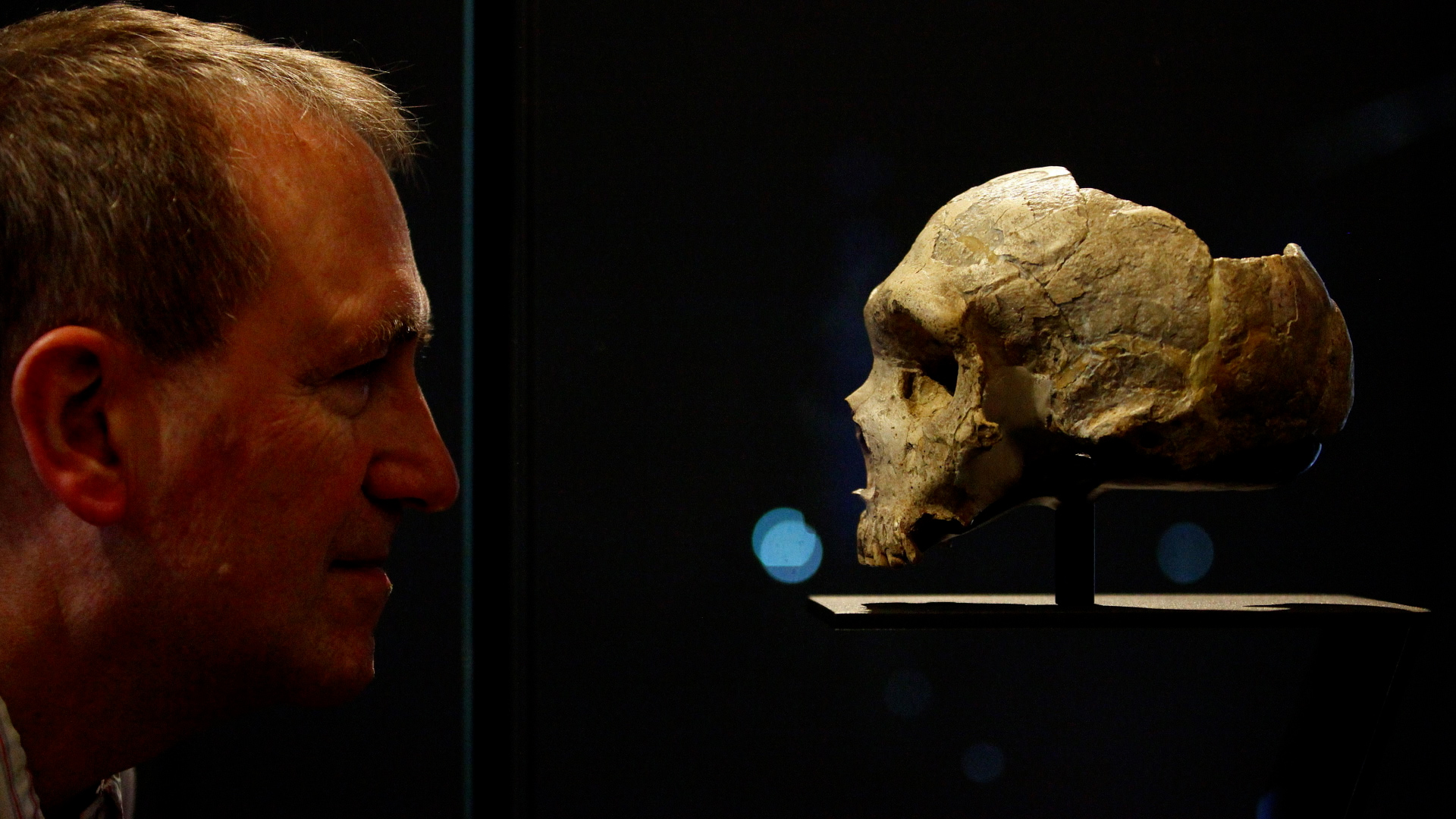 MOMENTUS DISCOVERY in Human DNA | The UnXplained