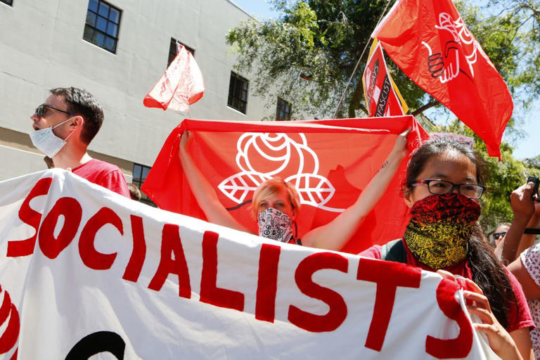 Karen Bass faces political gulag after Nithya 'Red' Raman's ...