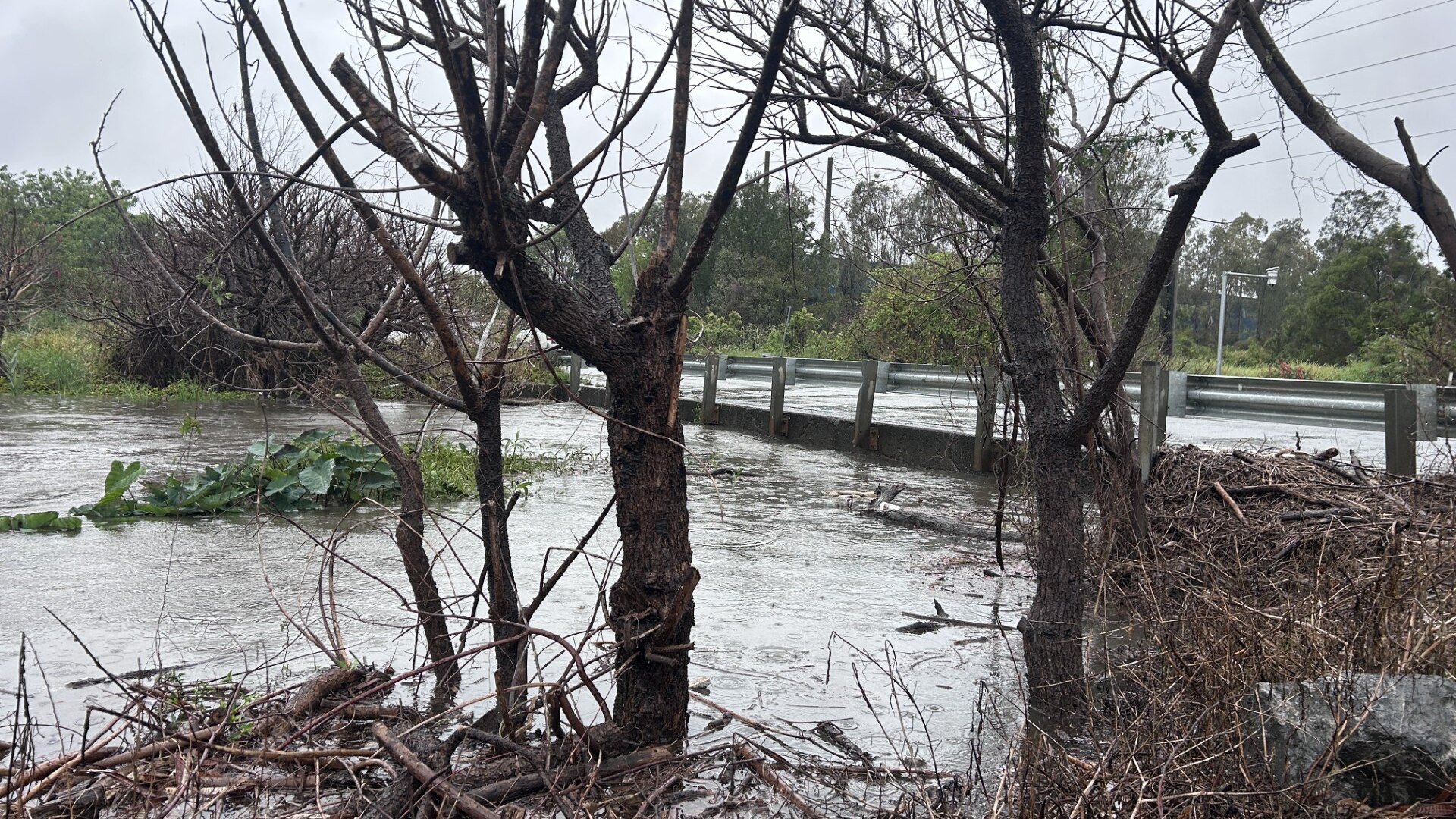 South-east Queensland weather updates: Hundreds of SES callouts as heavy rainfall leads to flash flooding