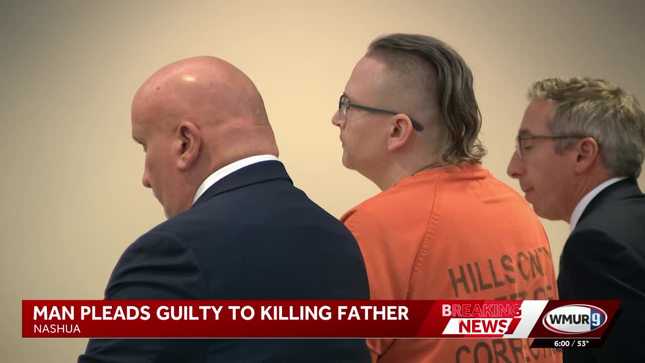 Man pleads guilty to killing father