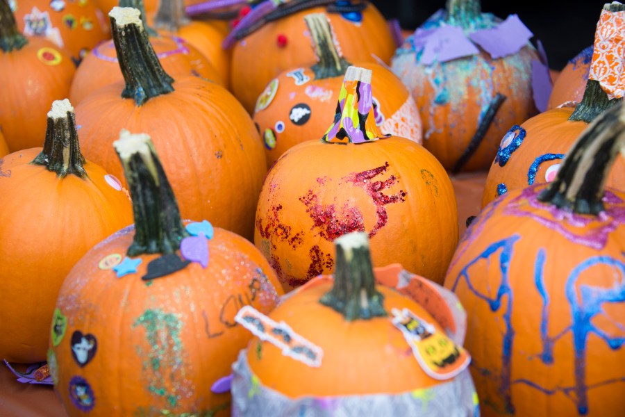 Northwest Arkansas Community College hosts free Fall Fest
