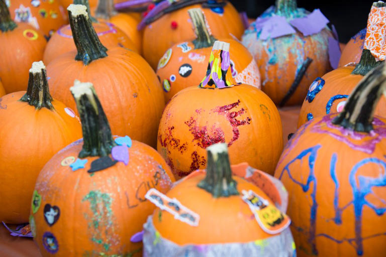 Northwest Arkansas Community College hosts free Fall Fest