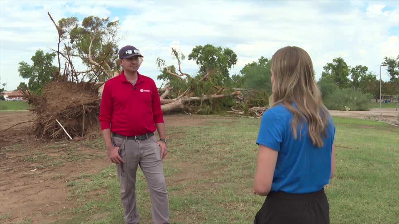West Chandler neighborhood faces major cleanup after storm damages up ...