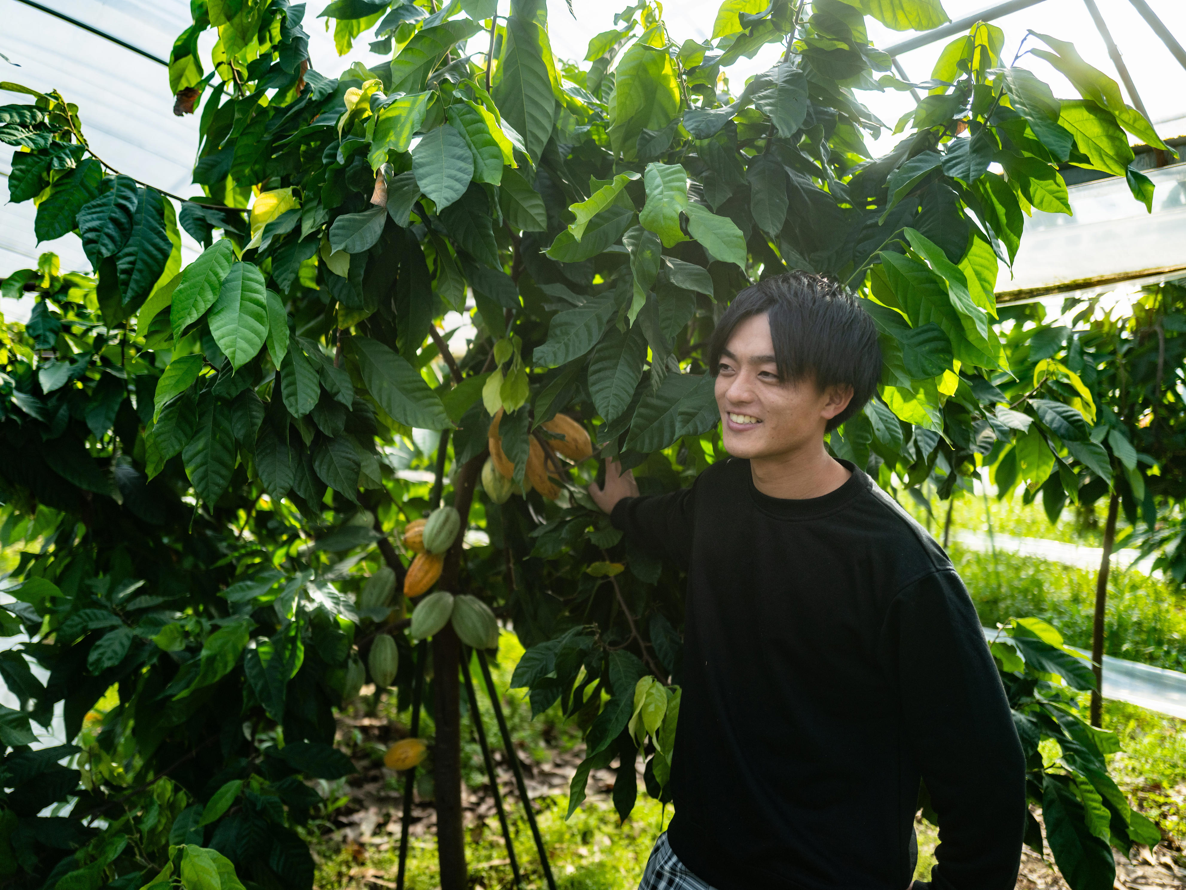 Japan's aging business owners are selling their legacies for cheap to ...