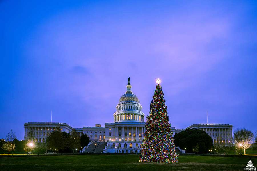 Idaho's third US Capitol Christmas tree comes with special honor for local girl
