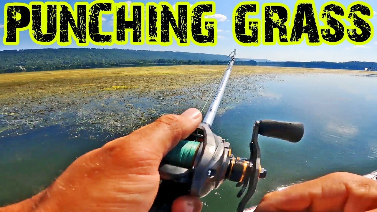 Punching grass mats on Lake Guntersville for big bass
