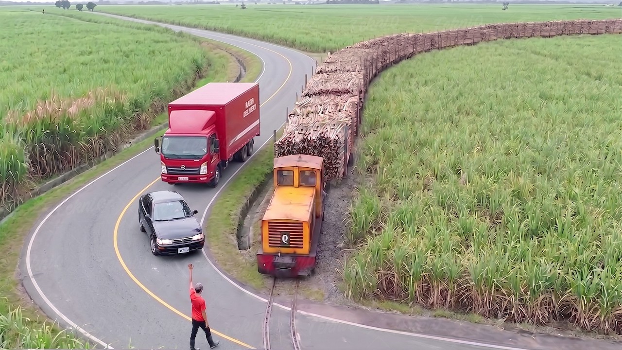 Riding primitive sugarcane train in middle of township traffic