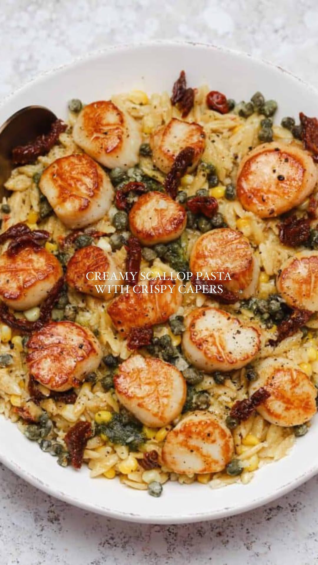 Creamy orzo pasta with scallops and summer flavors