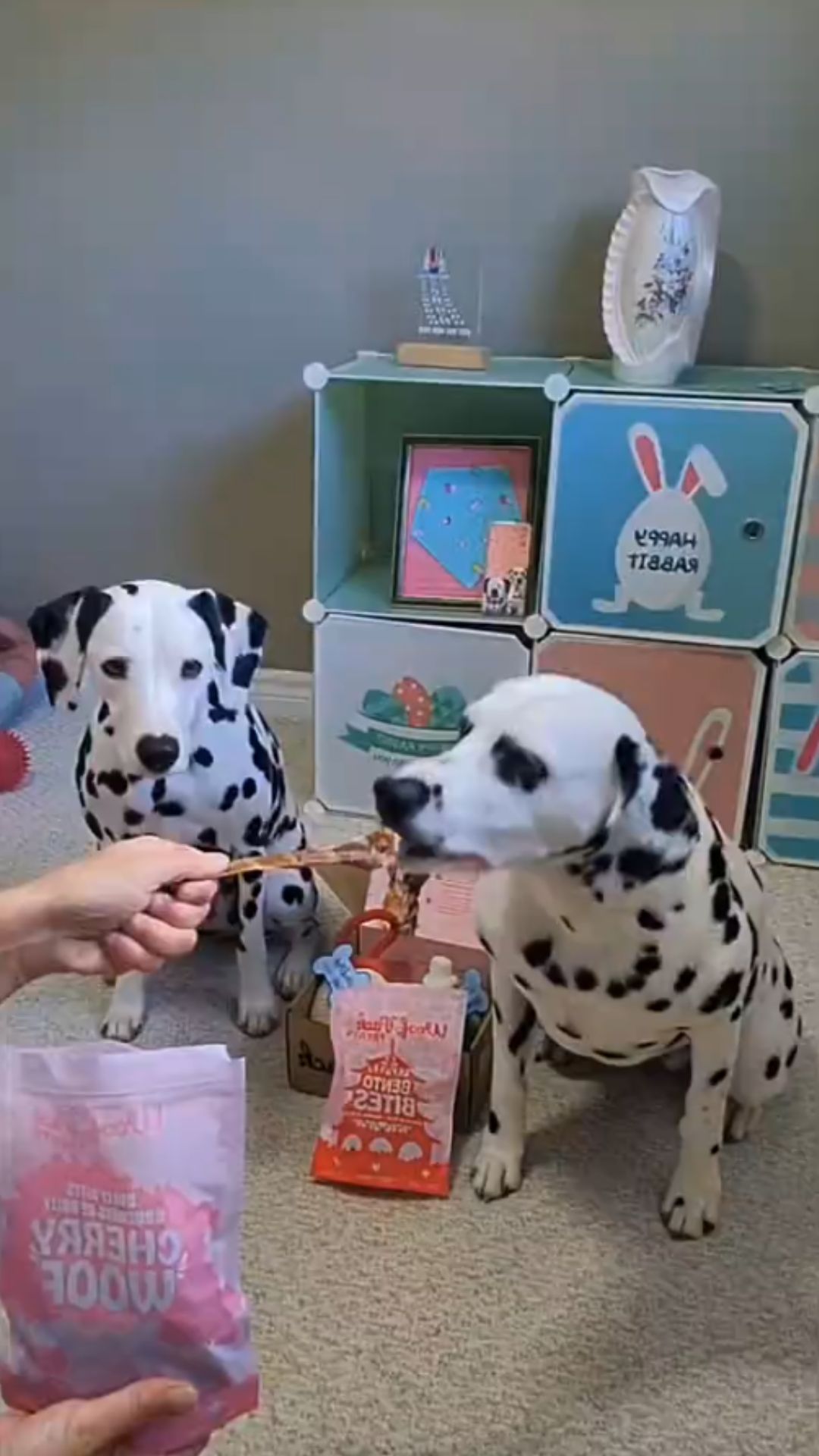 Unique Japan theme dog box fun toys and pet trends