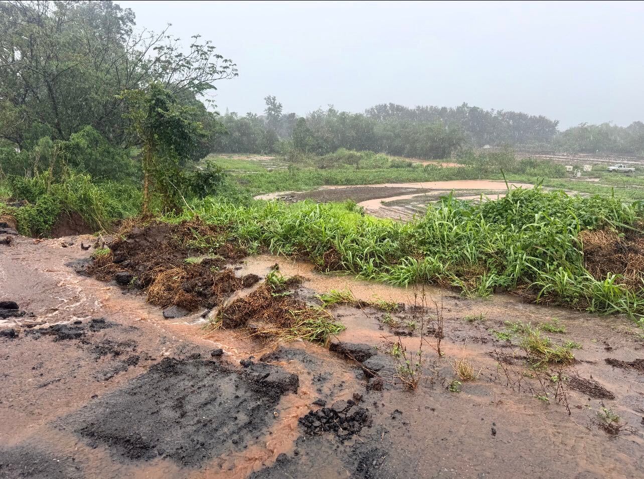 80+ Oahu farms still struggling after months of repeated storms