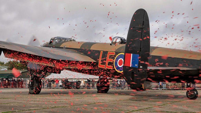 WW2 bomber in 50,000-poppy release to mark appeal