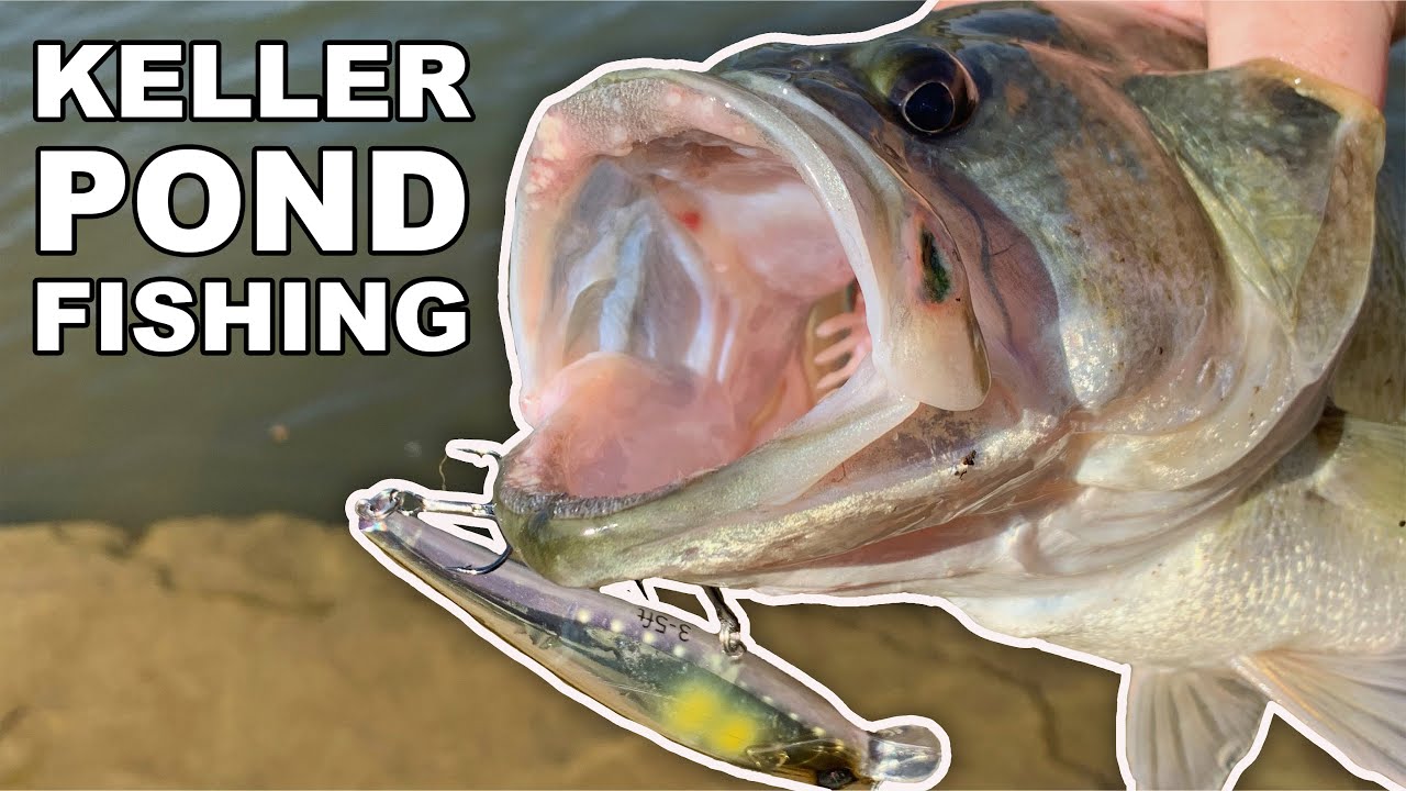 Texas pond hopping for fall bass reveals some surprising fishing spots