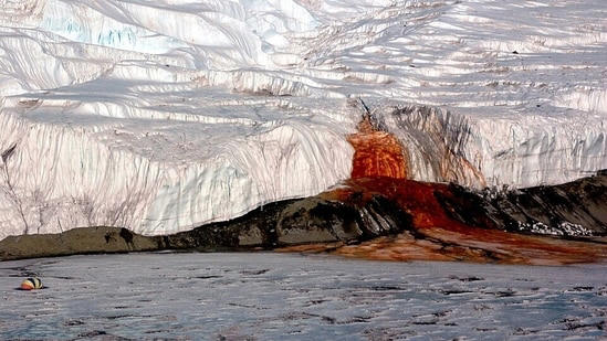 RNA from Antarctica’s red Blood Falls pointed researchers to a marine ...