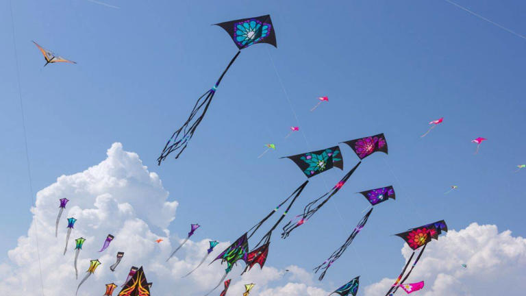 Festival travel calendar: From Pushkar to Jaipur Lit Fest and Makar ...