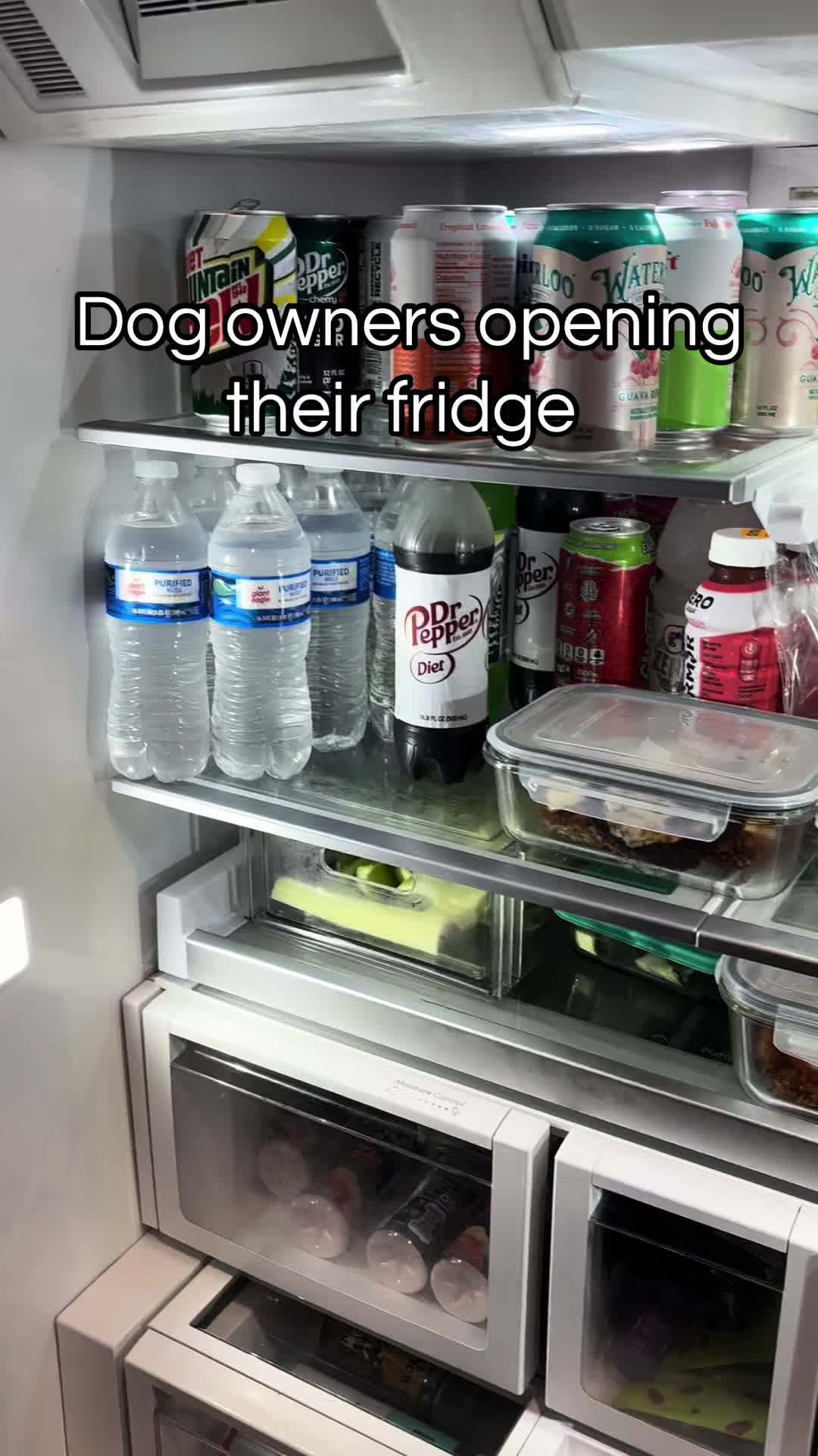 This dog's fridge time routine is too funny to miss