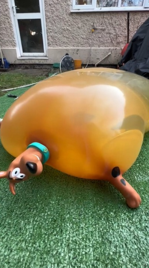 Scooby Doo gets so big this is getting out of control