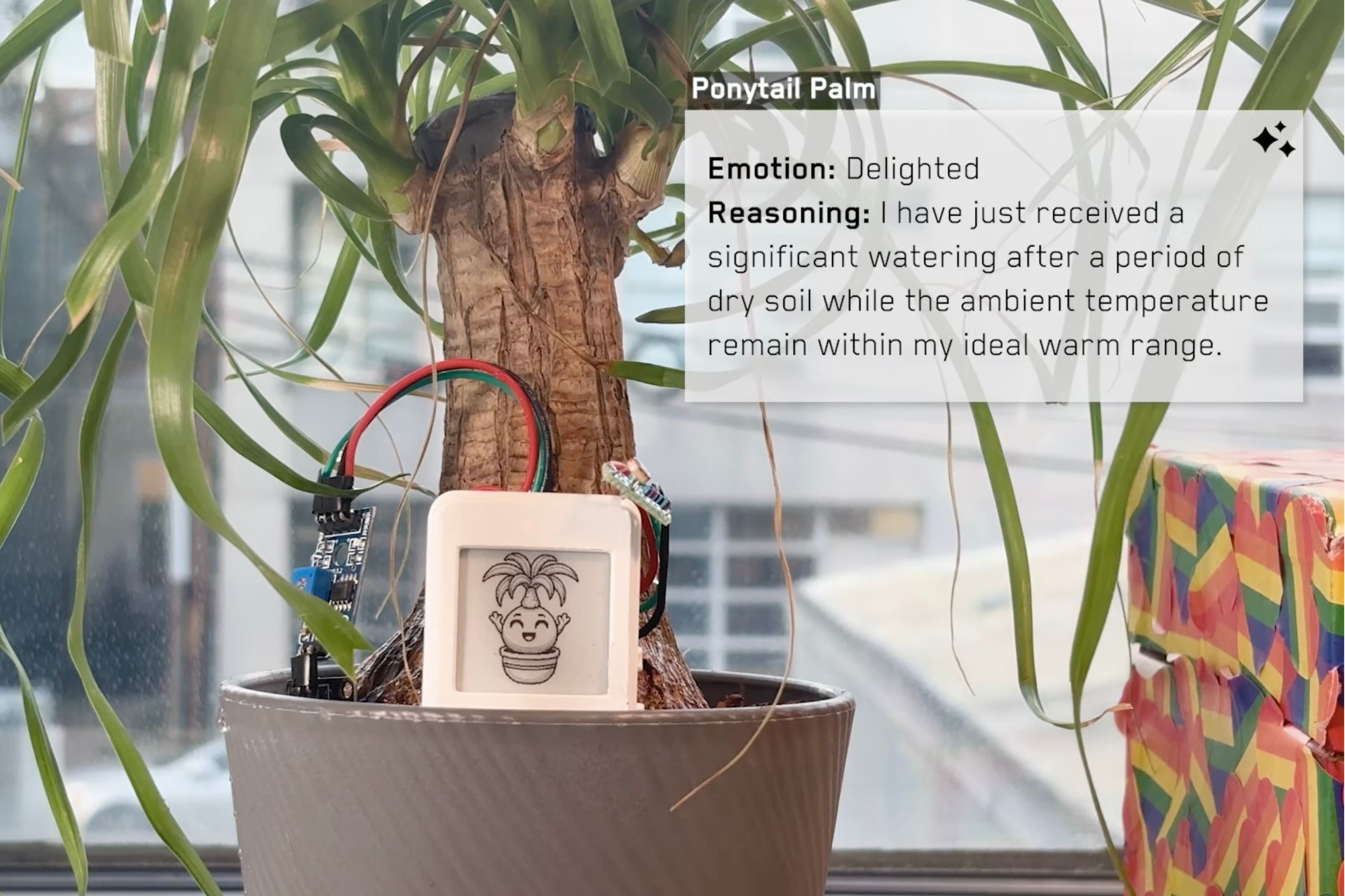 Create a digital avatar based on your houseplant's well-being with this ...