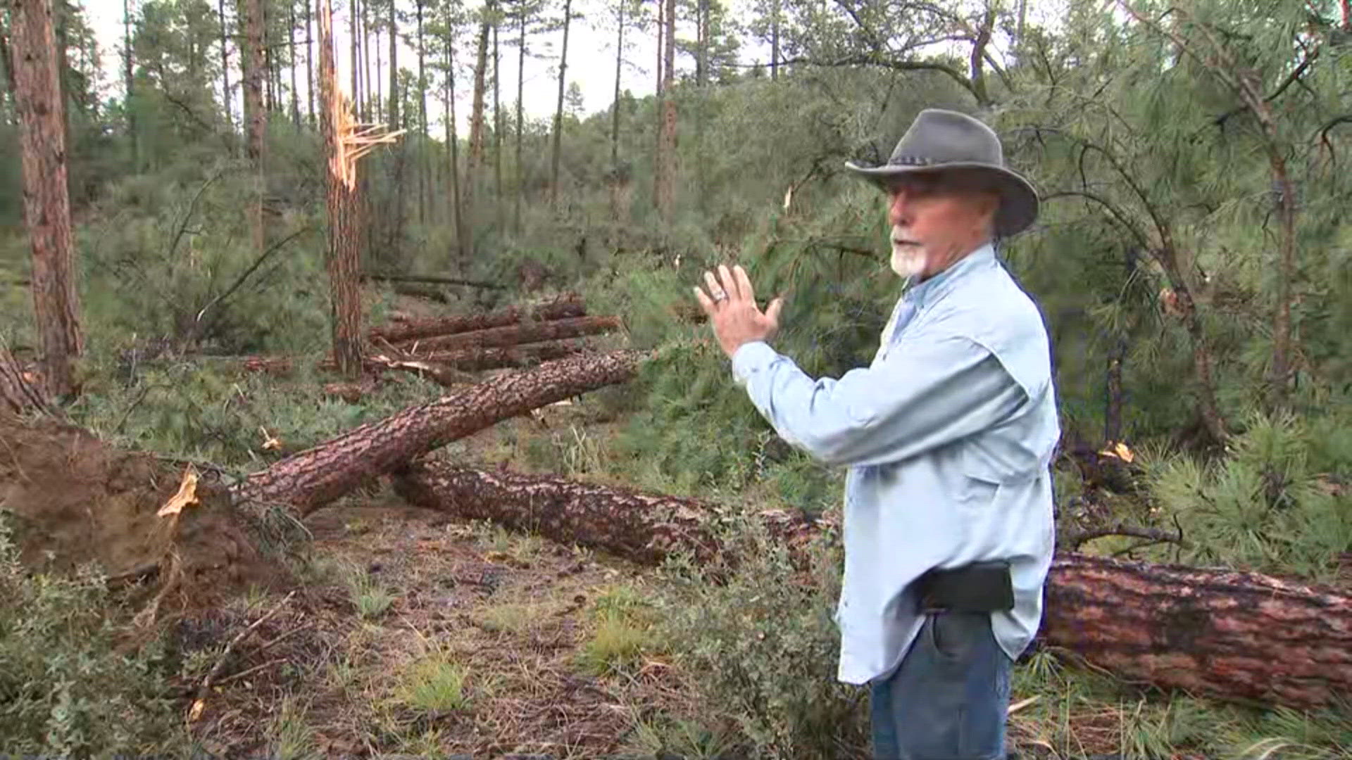 Lots of trees knocked down near Prescott during storm