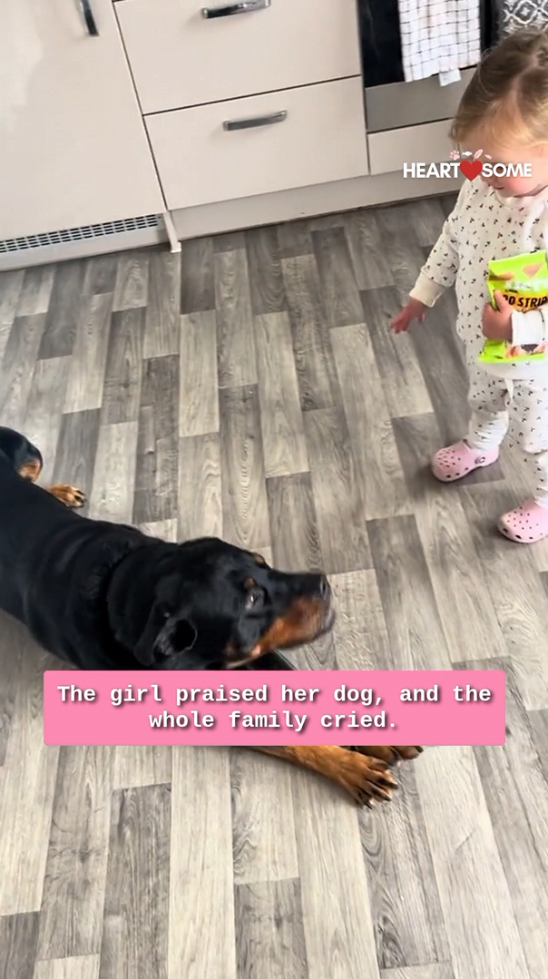 Young girl achieves success in teaching her dog commands