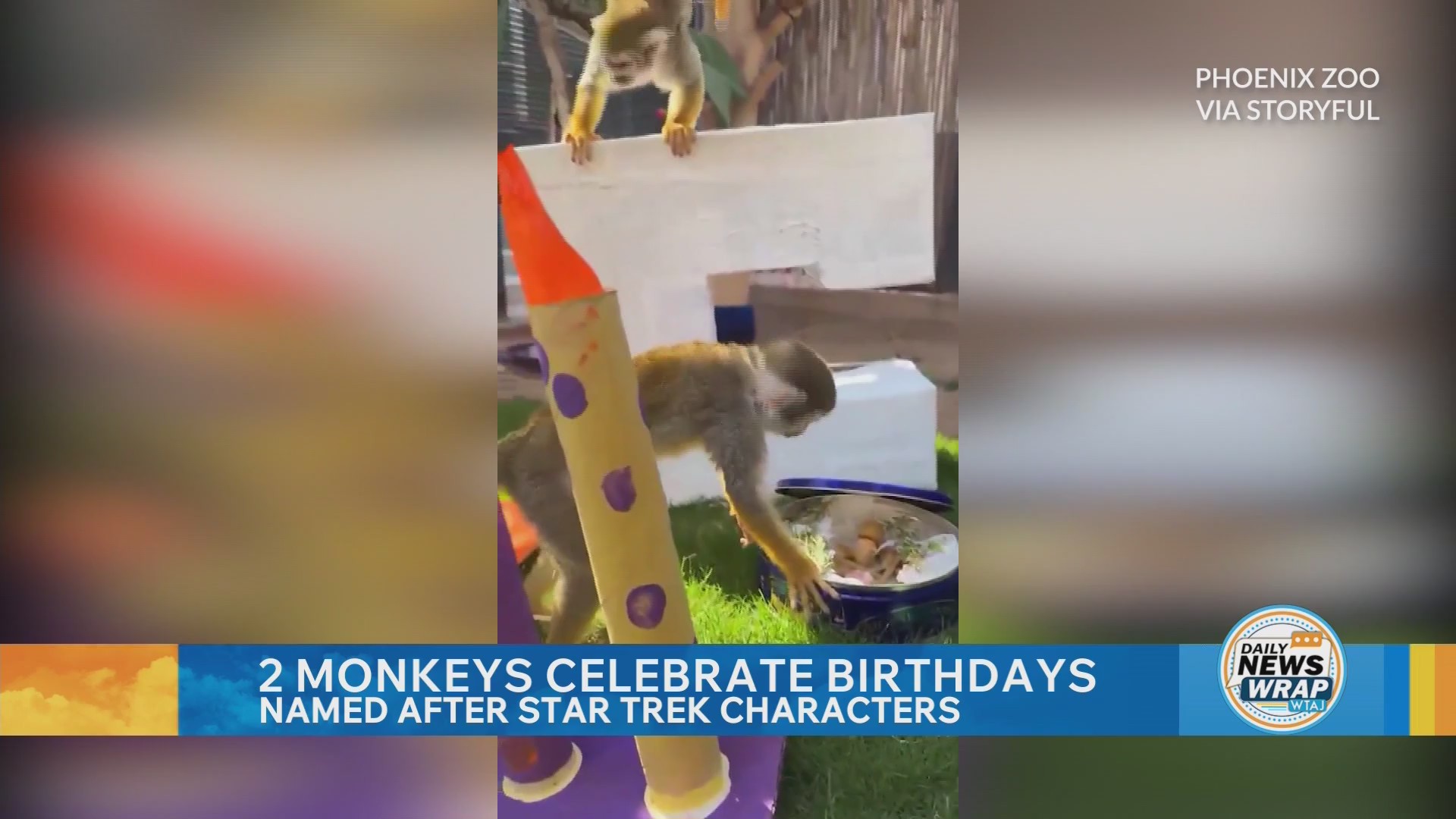 Daily news wrap: Star Trek monkeys