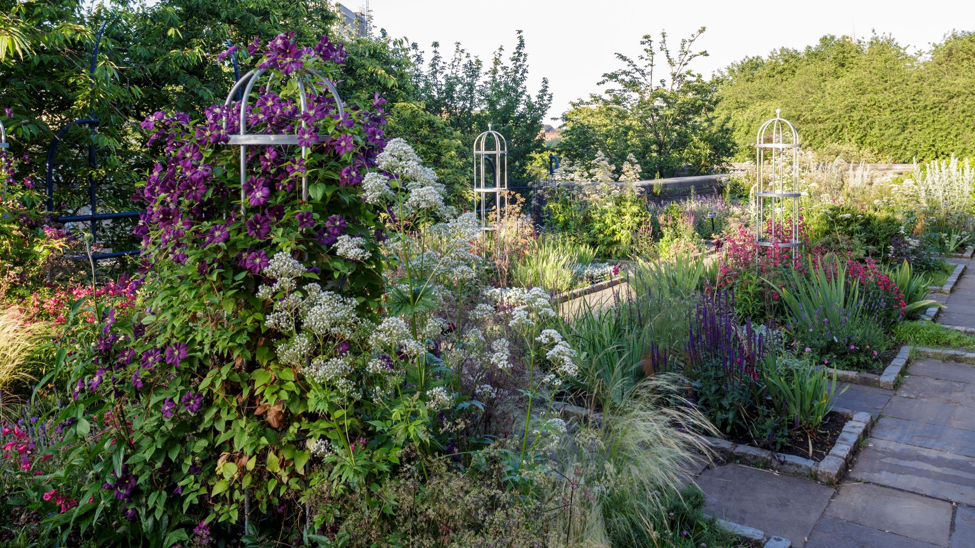 Sensory garden ideas – create an outdoor space filled with sounds, scents and textures