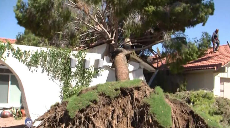 Seal your home now to save thousands in storm damage, Valley insurance ...