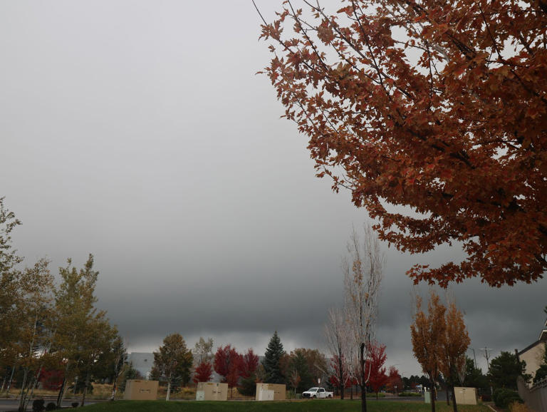 Violent Arizona storms bring possible tornado, toppled trees and golf ...
