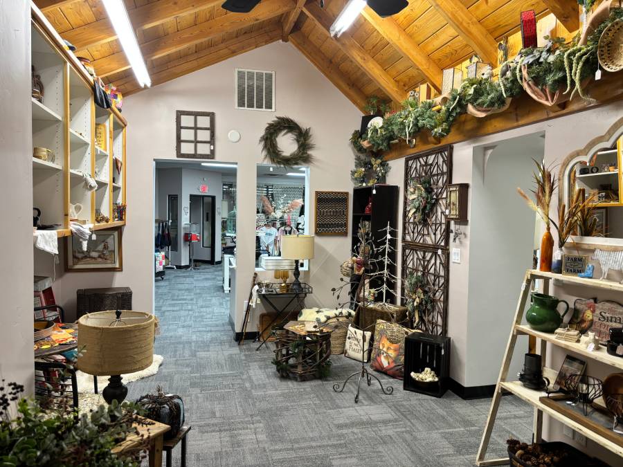 Eclectic new boutique brings clothing, antiques, art and more to St. Anthony