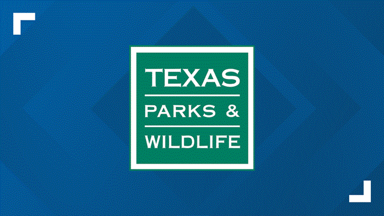 New World screwworm detected on animal hide in Pecos County