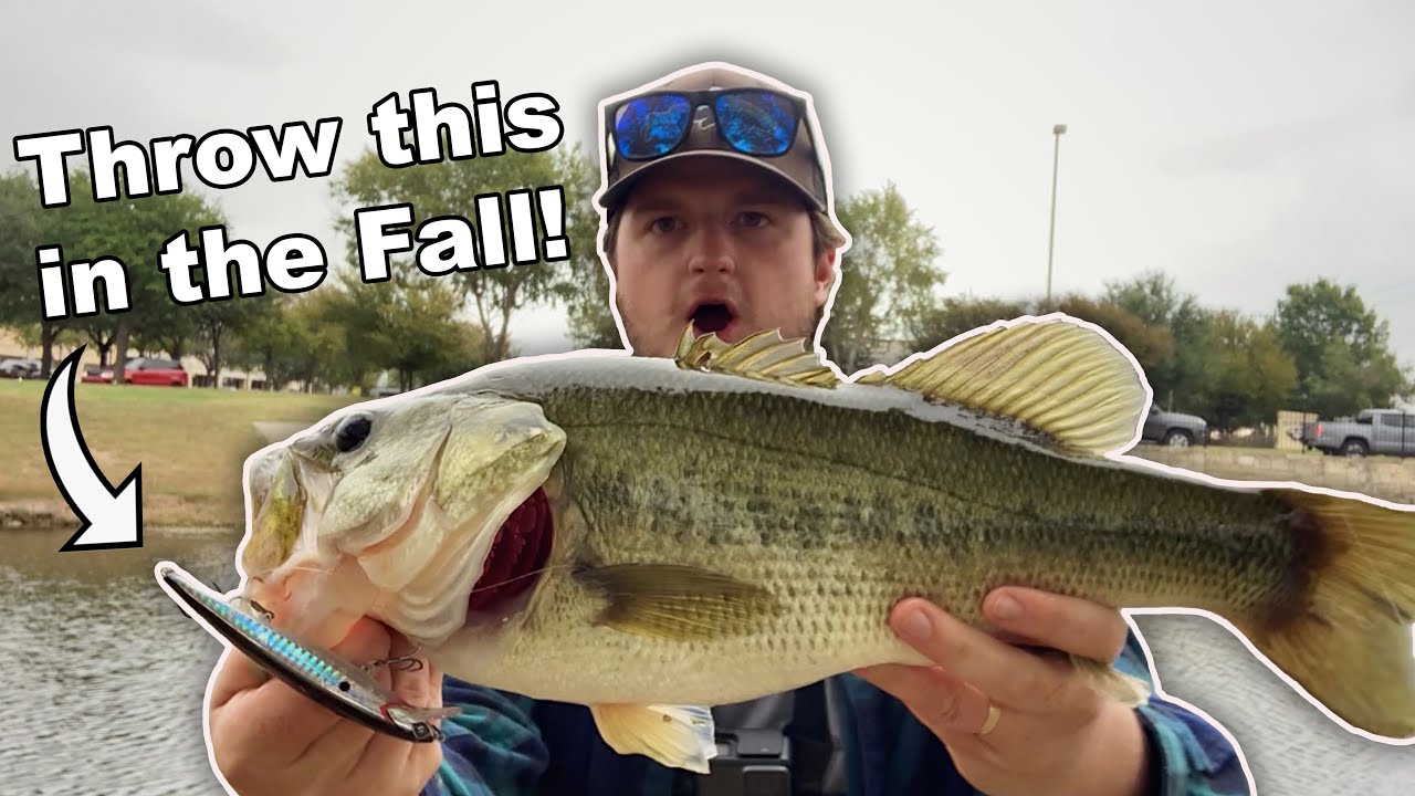 Big fall bass on jerkbaits in Fort Worth Texas