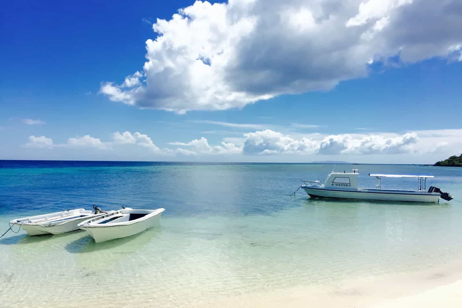 A scuba internship can swap your tuition for work. The bill that’s left ...
