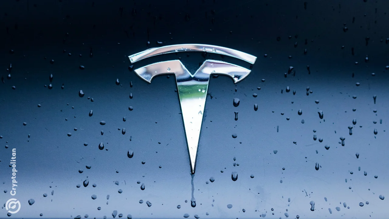 Tesla starts Optimus production as profit falls 43%