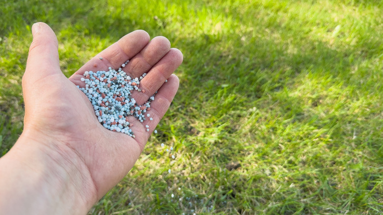 Quicker than using your hands: The easy-to-use tool on Amazon for spreading seeds & fertilizer