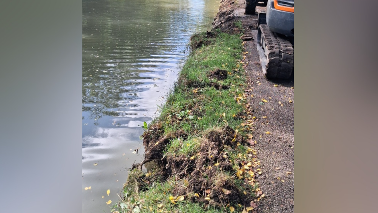 Historic canal bank repaired after water vole damage