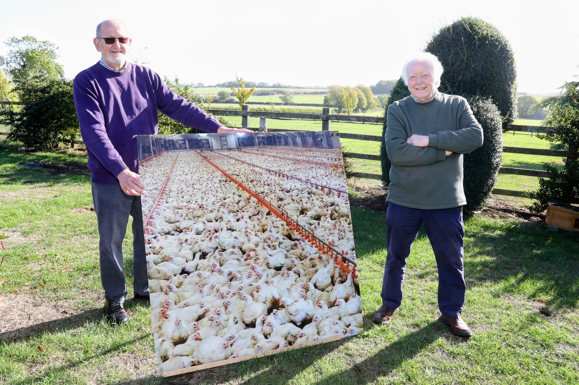 Rushden industrial chicken factory racks up more than 3,262 objections ...
