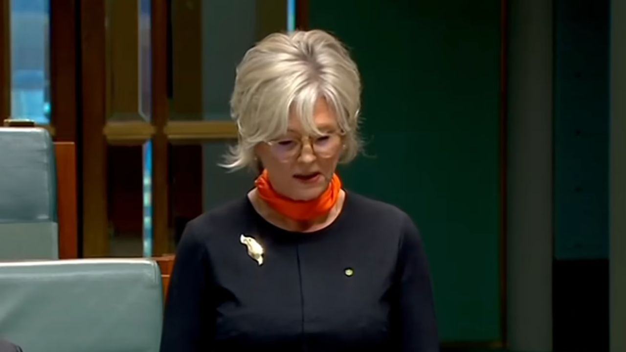 'Helen is alive and stable': Australian MP Helen Haines, 65, loses both ...