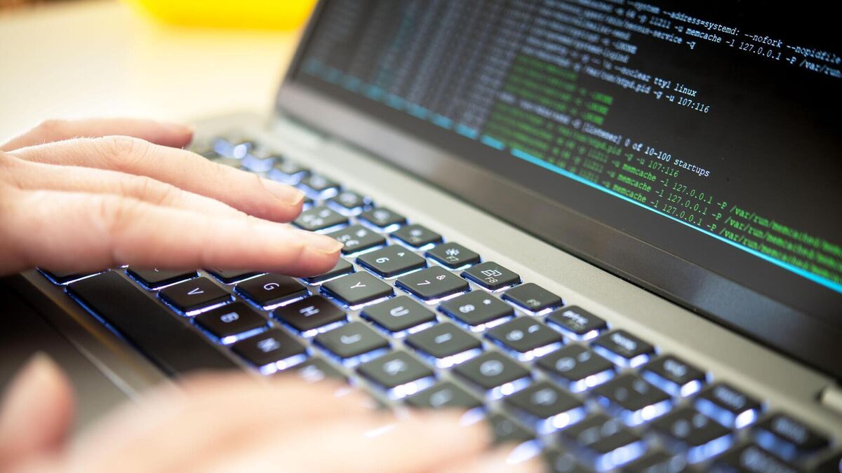 Flaw in PHP computer language leads to shutdown of websites around world