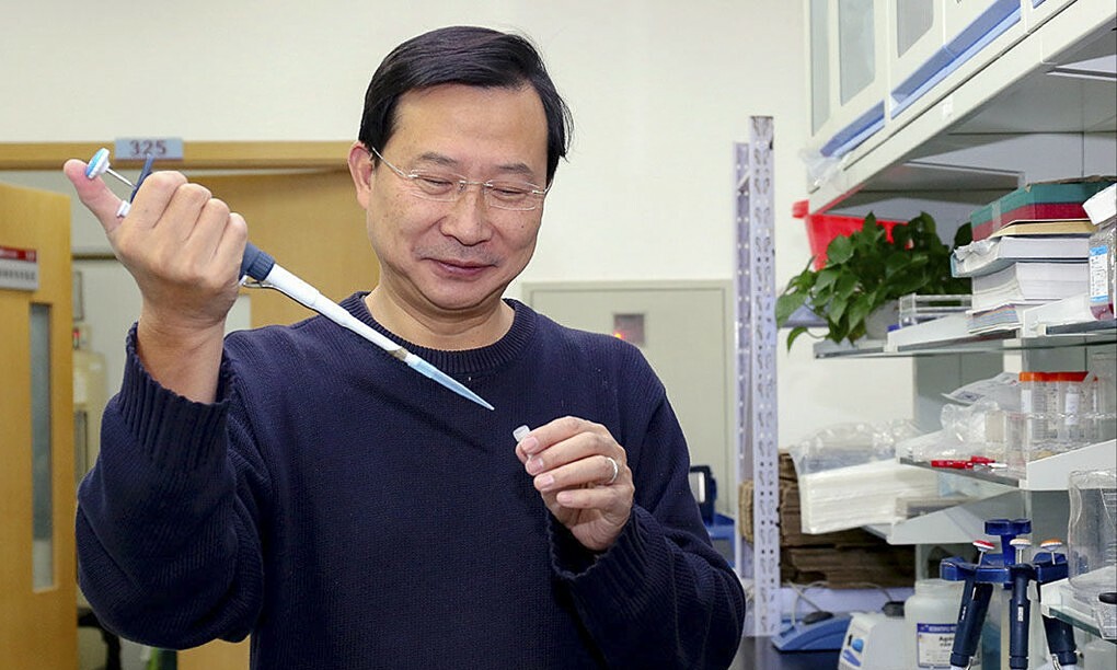 Prominent Chinese biologist accuses top cancer journal's editor-in ...