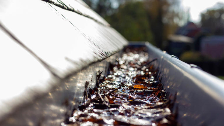 When to clean your gutters in fall (and why doing it too early backfires)