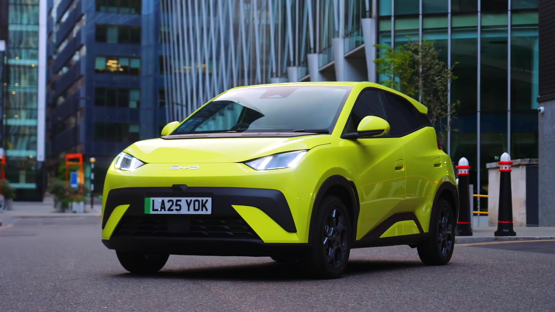 BYD Dolphin surf design preview in lime green