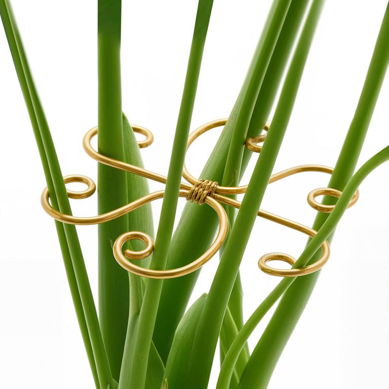 I’m ditching moss poles for these decorative monstera supports: They’re ...